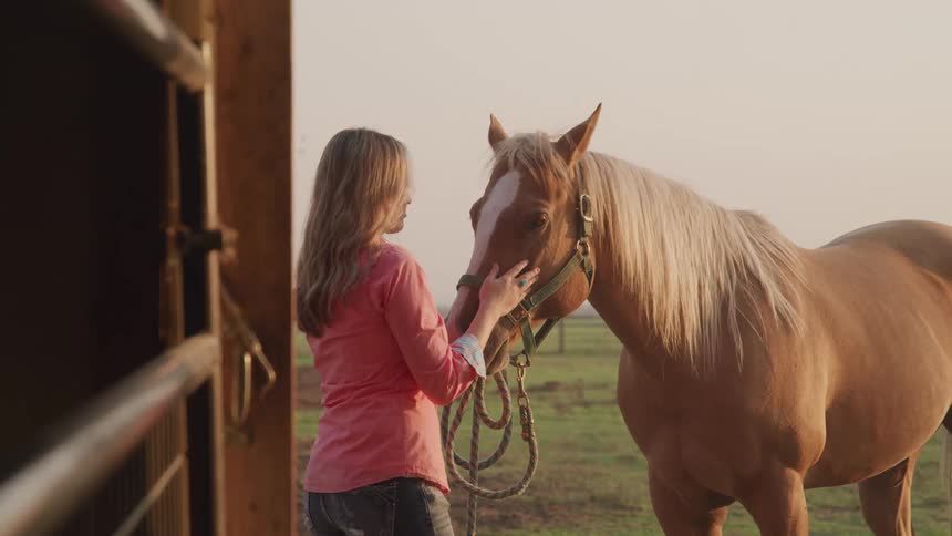 A blonde woman wearing a pink shirt and gray jeans gently pets a light colored horse in a stable