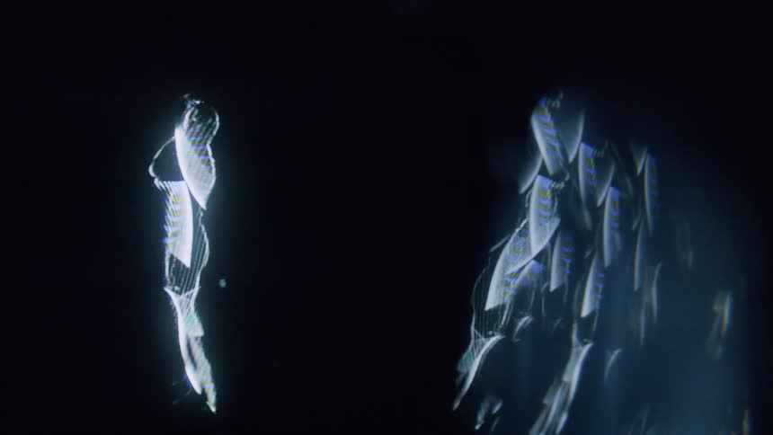 The shape of a woman dances in a computer generated image