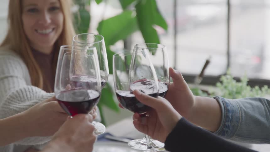 Happy female wine toasting with group of friends at home