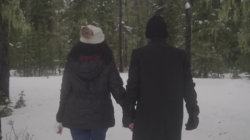 A man and a woman wearing winter coats and hats walk hand in hand through a snow covered forest their backs to the viewer
