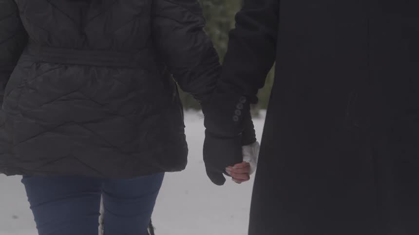 Couple shaking hands and walking in the snow