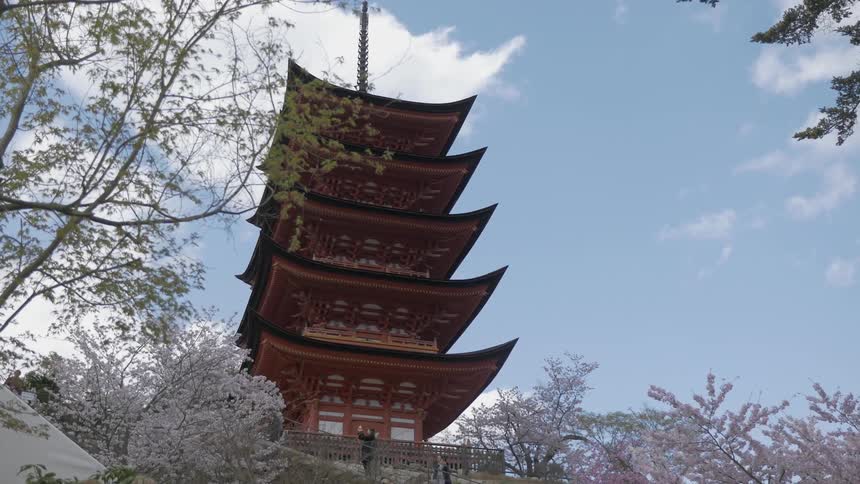 A tower has many levels and is surrounded by trees