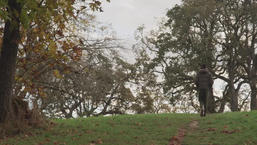 A man in a gray coat walks along a path through wooded area with tall trees framing the scene under a cloudy sky