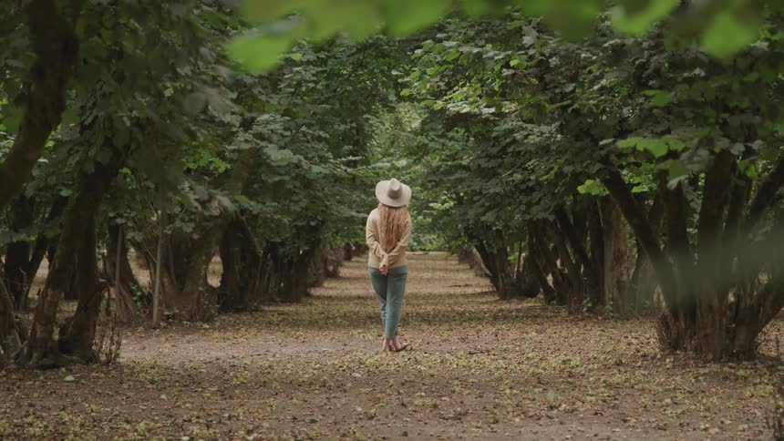 A woman with long light brown hair wearing a hat and lightcolored clothing is standing with her back to the camera on a path through a hazelnut orchard with tall leafy trees lining both sides