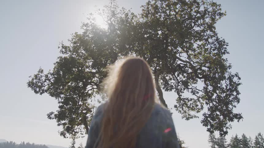 A woman with long light brown hair stands with her back to the camera facing a large tree silhouetted against a bright sunlit sky