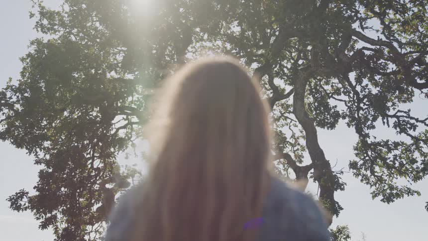 A woman with long light brown hair stands with her back to the camera facing a large tree with sunlight filtering through its leaves