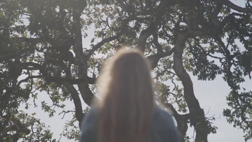 Woman with long hair stands looking up at a tree