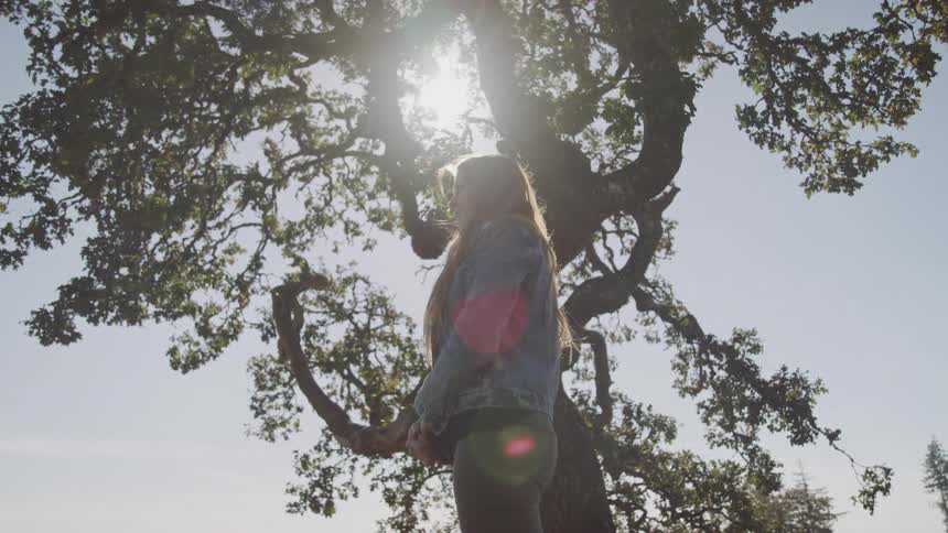 A woman with long light brown hair stands looking up towards the bright sunlight filtering through the branches of a large tree