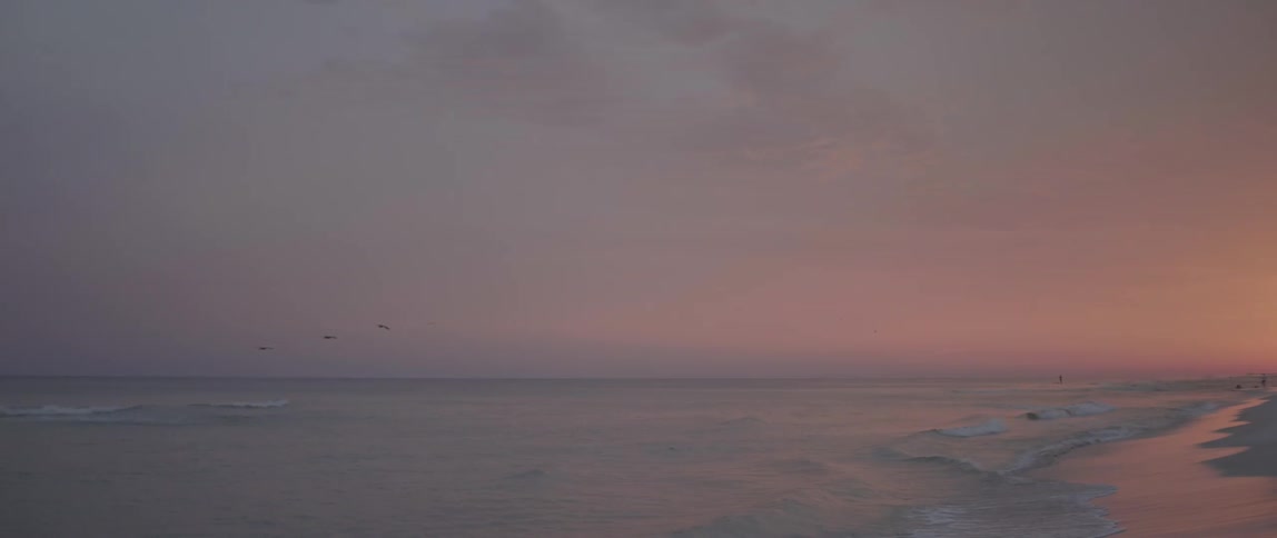 Birds flying over the ocean water near the shoreline on a beautiful sunset evening
