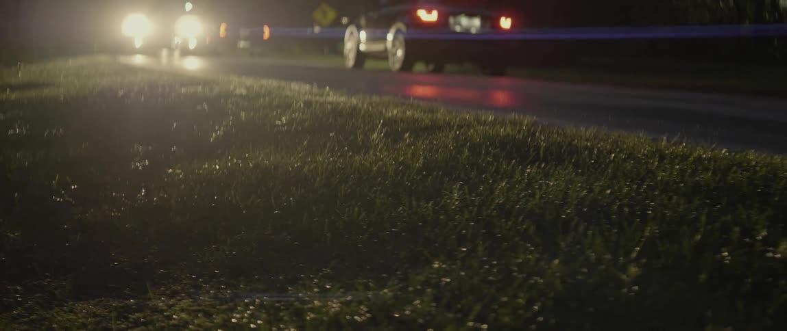 Passing car headlights shine on the grassy roadside