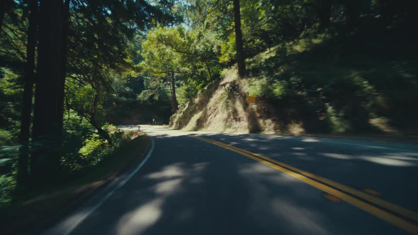 A winding asphalt road with double yellow lines cuts through a lush forest with sunlight dappling through the trees and casting shadows on the pavement