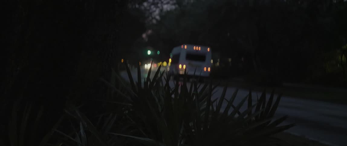 A bus drives down a street at night