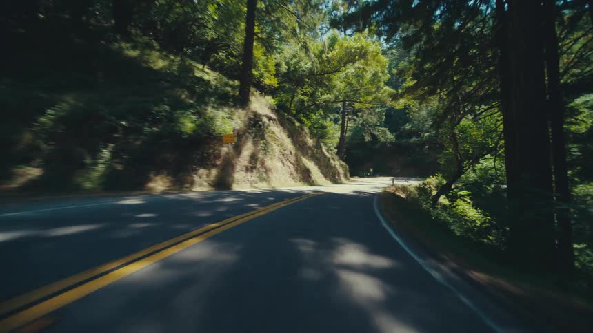 A winding road cuts through a sun dappled forest with yellow lines guiding the viewers eye through the bend