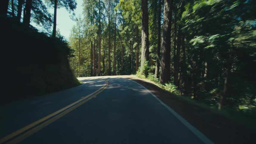 A winding asphalt road with double yellow lines cuts through a dense forest with sunlight filtering through the tall trees creating a sense of depth and movement