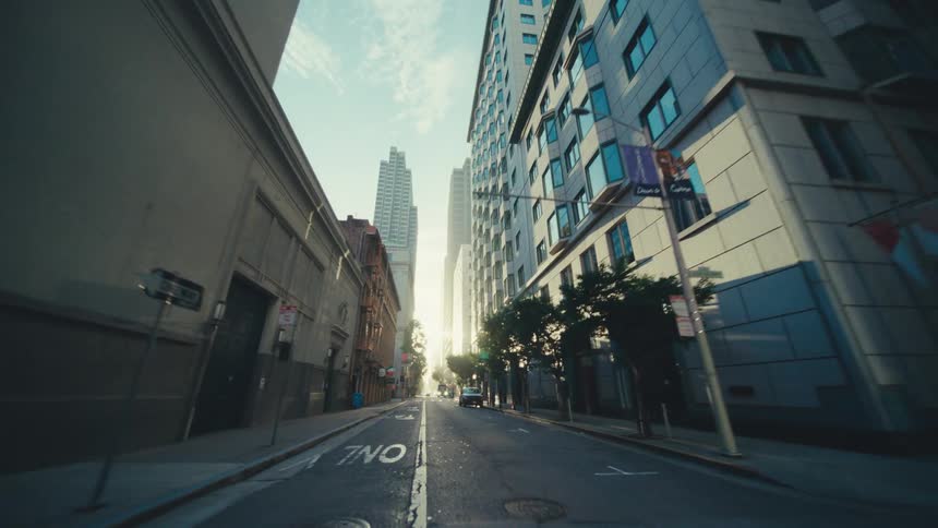 Trees line a city street that is flanked by skyscapers