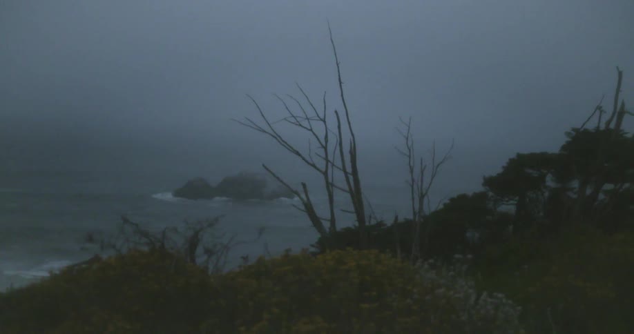 Waves crash onto the shoreline on a foggy day