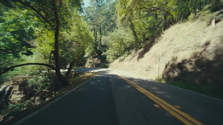A winding asphalt road with double yellow lines cuts through a dense forest of tall trees suggesting a journey into a remote natural environment