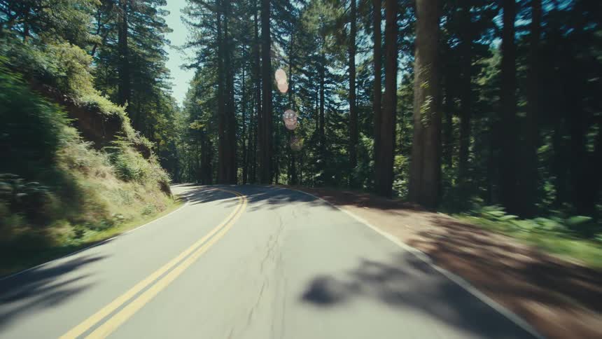 The forest is putting shade on the road