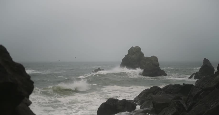 Birds flying over waves as they crash against large rocks