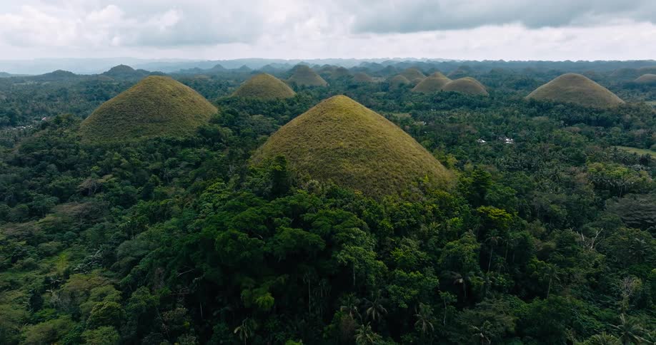 Rain forest with large green mounds rising from the trees