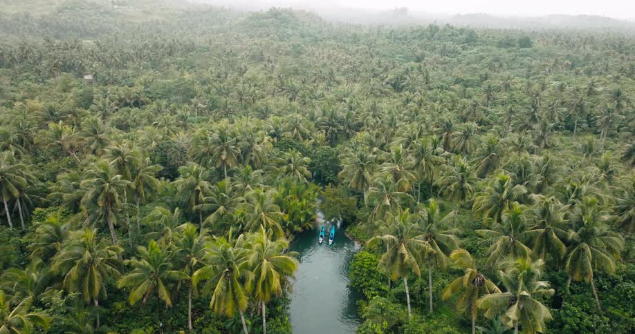 An aerial view rises above a narrow tropical river where two people paddle blue kayaks through a lush forest of palm trees and dense jungle greenery