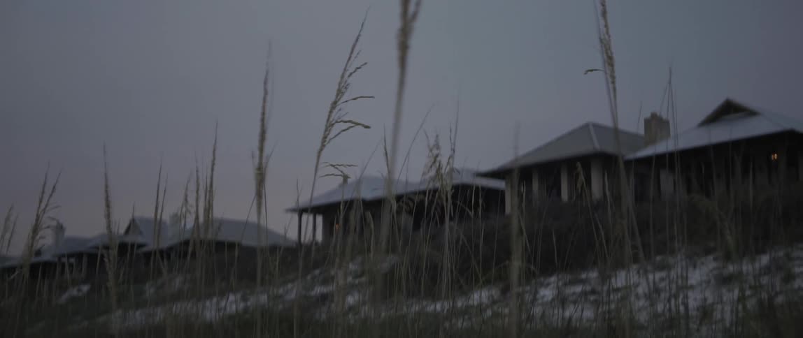 Tall beach grass gently sways in the breeze at dawn