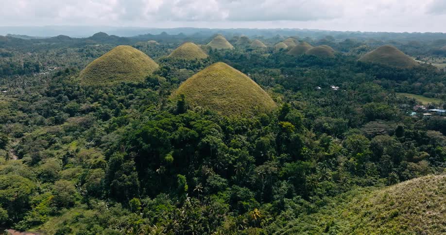Green mounds fill the landscape