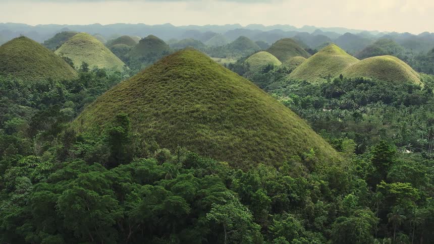 Afootage of a hill in the forest