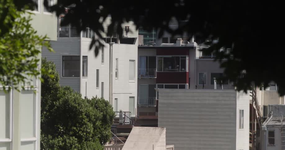 Tree leaves wave in the breeze in front of several residential buildings
