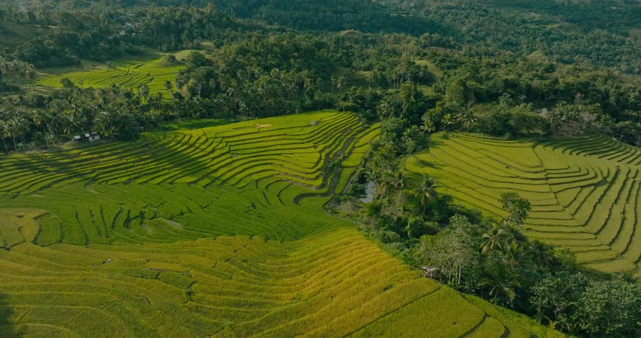 The landscape is green and full of trees