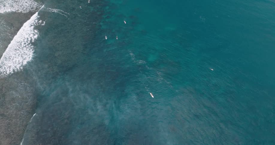 People are paddle boarding in the ocean