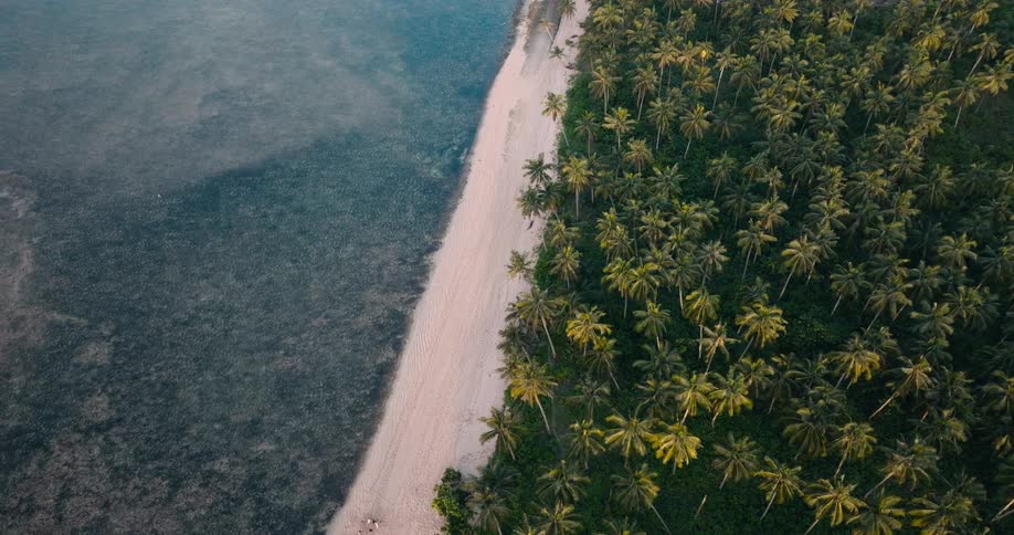 An aerial orbit reveals a whitesand beach lined with palm trees on a tropical island with a small group of people visible near the shoreline
