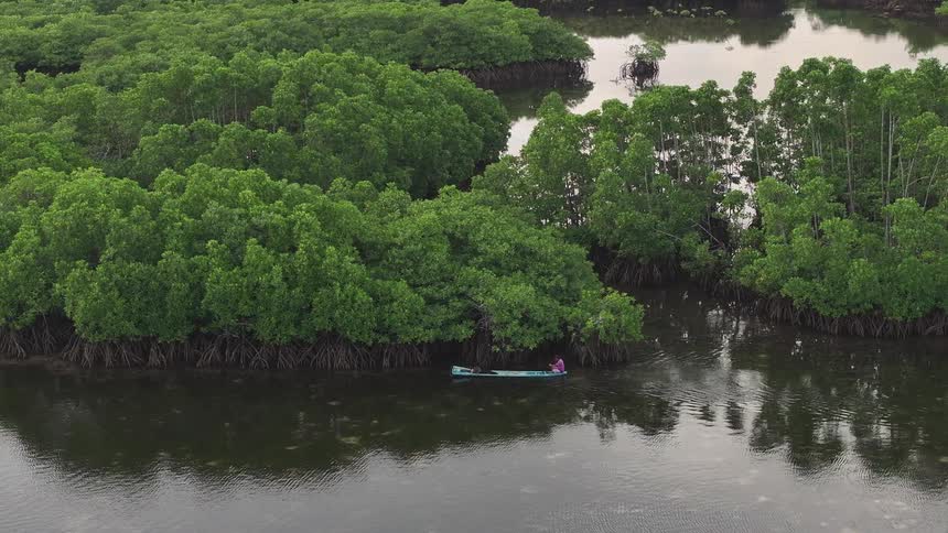 A person kayaking along a river lined with lush green trees