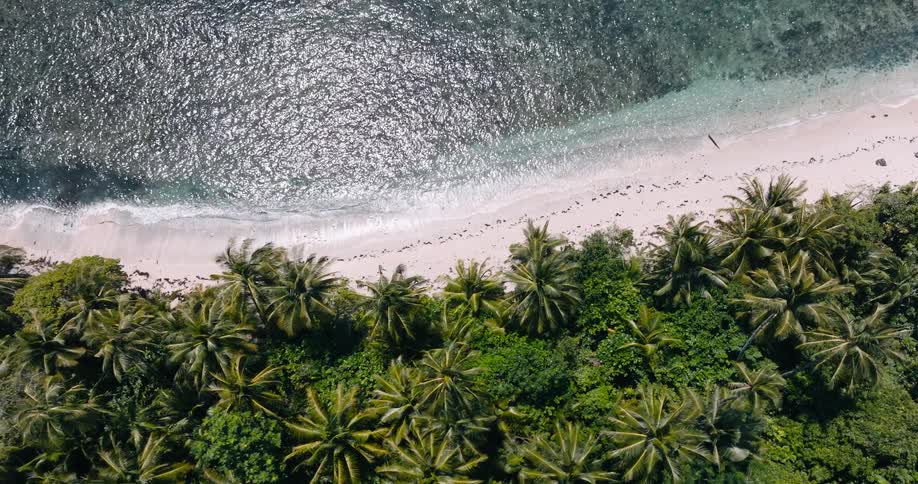 An aerial view reveals a tropical island shoreline where a line of footprints crosses a white sand beach beside turquoise water and dense palm tree cover