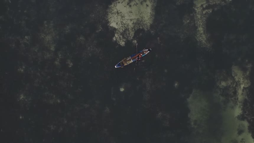 A person is paddling a boat in the water