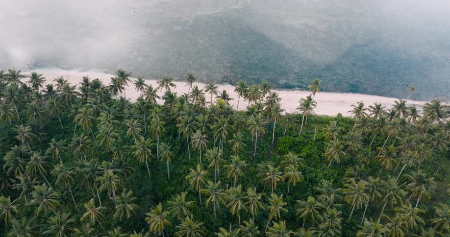 The camera is looking down on the group of trees that is beside the river that is next to the mountain range