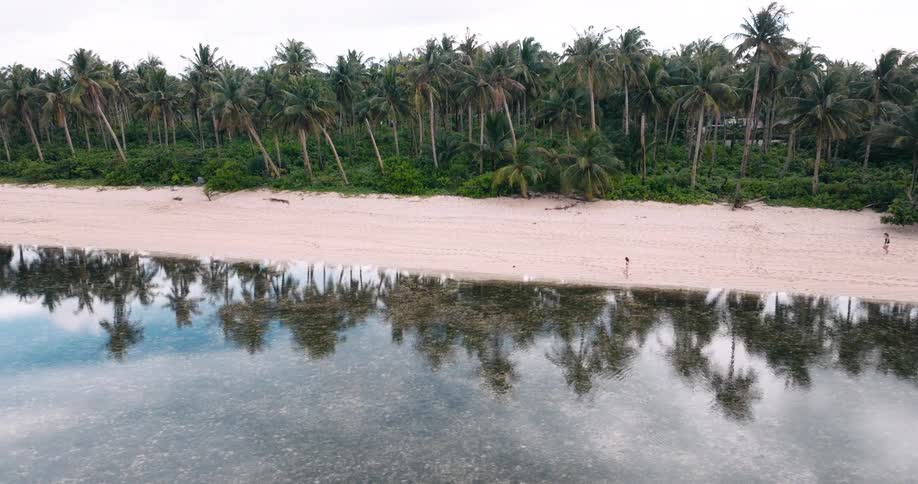 Island aerial of palm trees reflecting off sandy shoreline