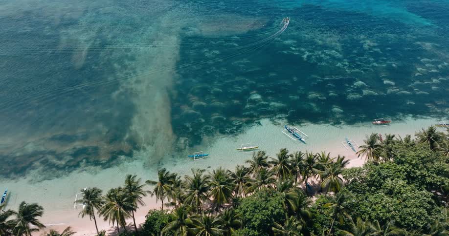 An aerial view captures a tropical coastline lined with palm trees and moored boats as a lone boat cuts through the clear ocean leaving a whitewash trail behind