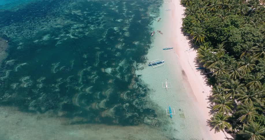 A pristine palm lined beach with crystal clear turquoise waters and traditional filipino outrigger boats dotting the shoreline