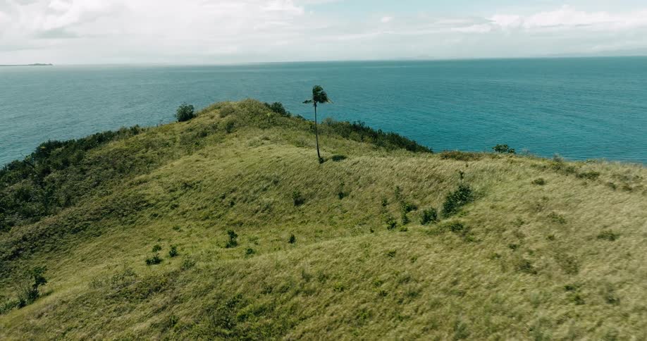 Grassy mountain with patchy vegetation meets the sea