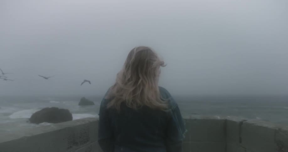 A woman stands on a misty beach as seagulls fly by