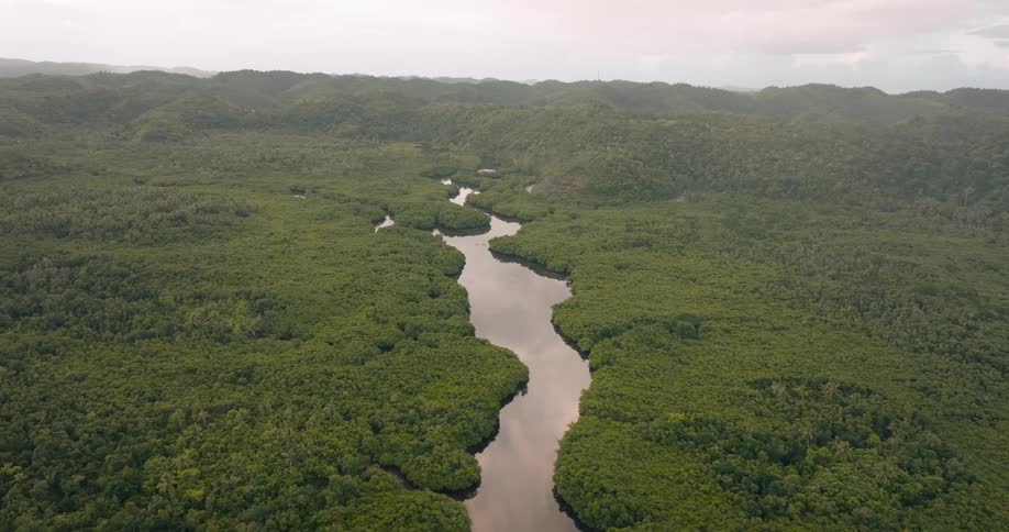 River and its tributaries flow through forested terrain on a foggy day