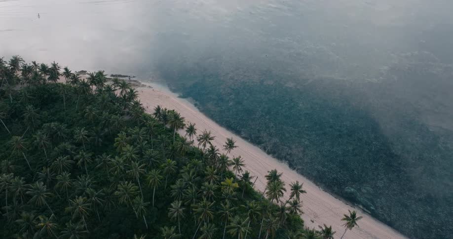Aerial view of a tropical coastline with palm trees lining a white sandy beach and shallow reef waters under a misty sky