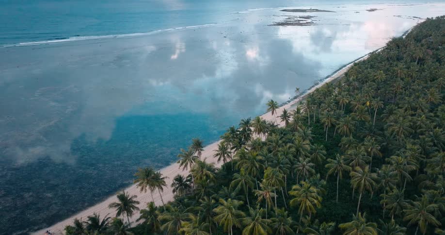 An aerial view captures a tropical island beach lined with palm trees and a calm ocean reflecting the sky like a mirror in a remote archipelago