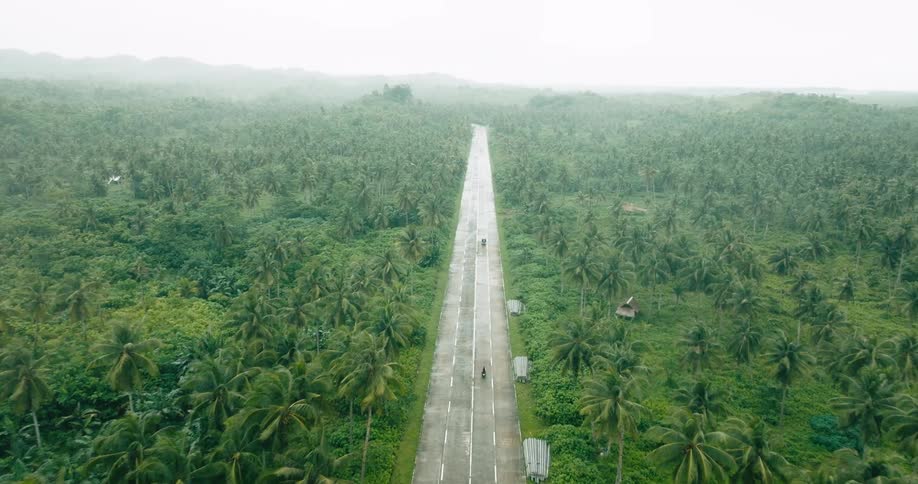 Motorcycles driving on a straight road that extends into the distance cutting through a dense forest of palm trees under an overcast sky