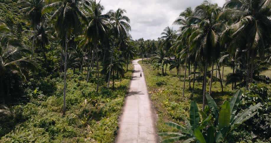 A lone motorcyclist rides down a narrow concrete road flanked by dense tropical greenery and towering palm trees in a remote sunlit landscape