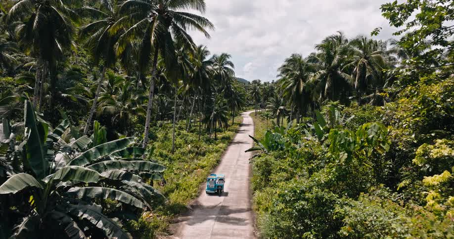 Aerial view of a small vehicle traveling on a road lined with palm trees and tropical plants