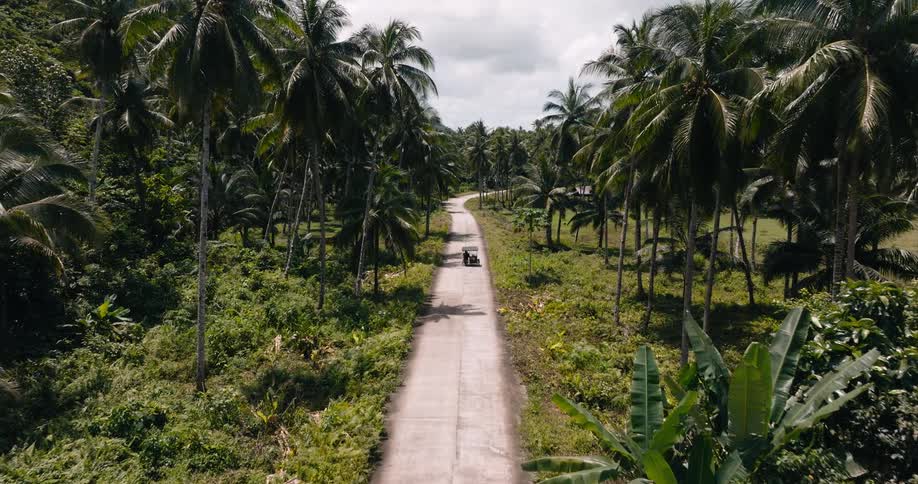 A cart drives down the trail in the jungle