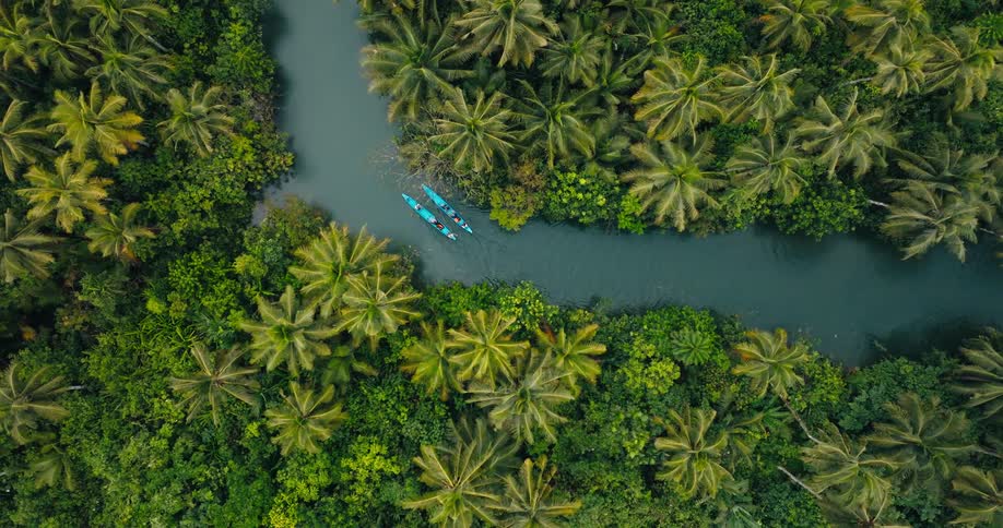 Two people are paddling in the stream through the forest