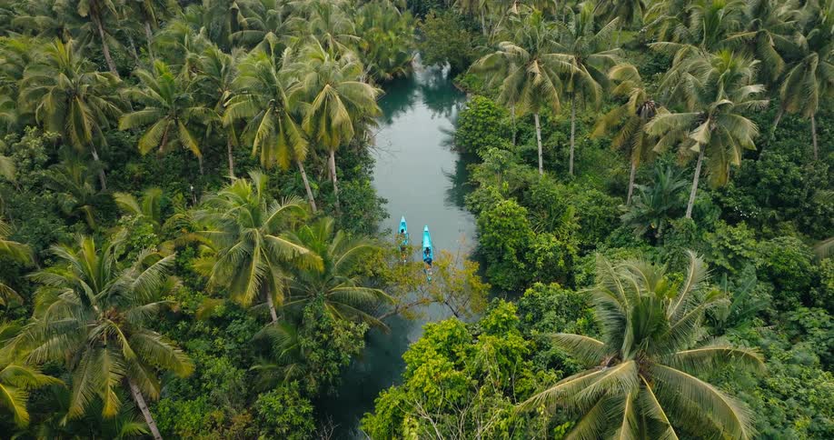 People in two canoes paddling on a river through the jungle